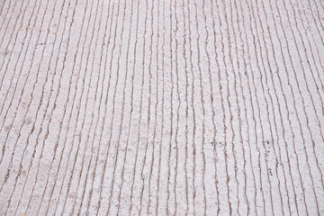 Shoe foot print on grunge concrete textured