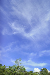 Obraz premium White fluffy clouds in blue sky