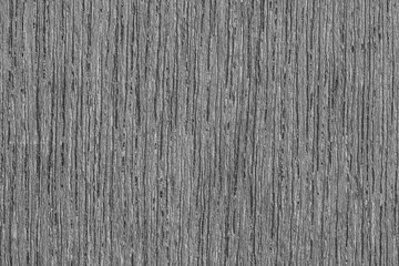 Fototapeta premium texture of bark wood