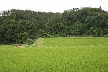 Landscape of countryside in Japan, Rural landscape of Hiroshima,