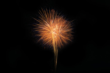 Brightly colorful fireworks in the night sky