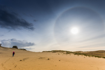 Fototapeta na wymiar Sandy dunes during sunset. Curonian Spit, Lithuania. 