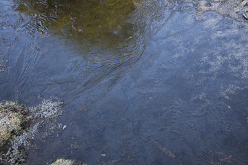 Frozen pond