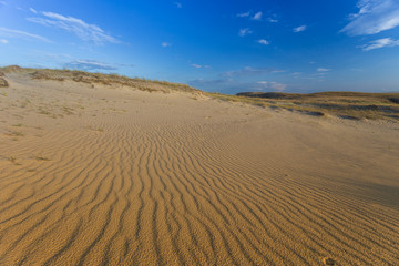 Sandy dunes during sunset. Curonian Spit, Lithuania.
