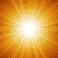Sunbeam Vector