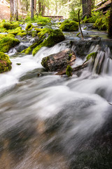 natural spring water