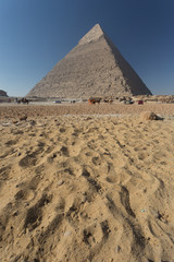 Egypt. Cairo - Giza. General view of pyramids