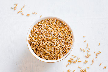 raw oats seeds