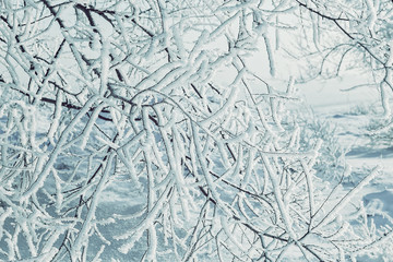 Snowy Christmas tale.