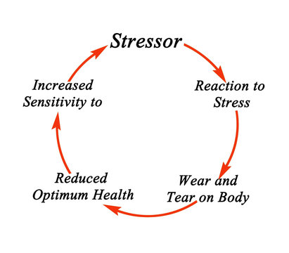 Cycle of stress