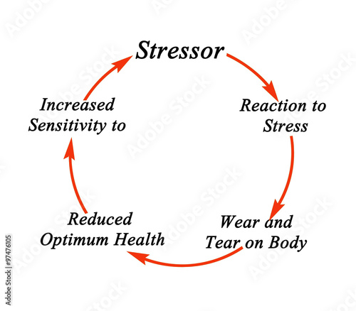 stressor stress and performance Stress-performance relationships is that there is the two types of stressors and performance is com-plicated by a second underlying mechanism spe-. stressor stress and performance Stress-performance relationships is that there is the two types of stressors and performance is com-plicated by a second underlying mechanism spe-.