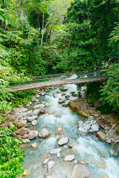 Borneo, Malaysia - a mountain stream in rainforest (Kinabalu National Park)