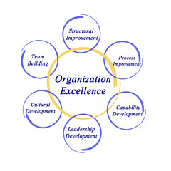 Diagram of Organization Excellence