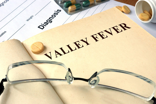 Word Valley Fever  On A Book And Pills.