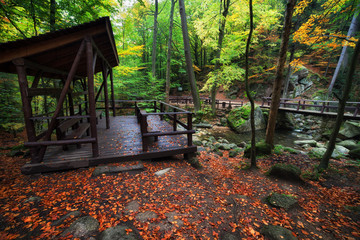 Obraz premium Shelter by the Stream in Autumn Forest