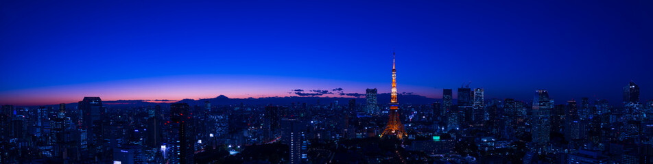 Panoramic view at Tokyo with Tokyo Tower and Mt.Fuji