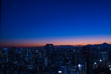 Fototapeta premium Panoramic view at dusk in Tokyo with Mt.Fuji
