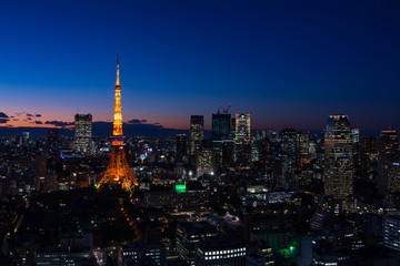 Panoramic view at dusk in Tokyo with Tokyo tower