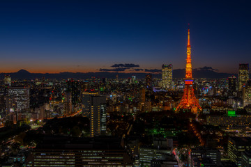 Panoramic view at dusk in Tokyo with Tokyo tower