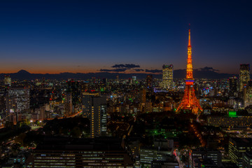 Naklejka premium Panoramiczny widok o zmierzchu w Tokio z wieżą Tokyo
