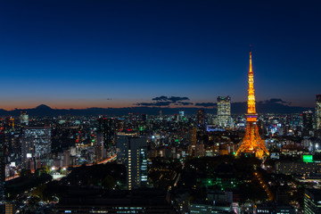 Illuminated Tokyo tower and Mt.Fuji at night