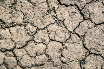 Dry land. Cracked ground background.