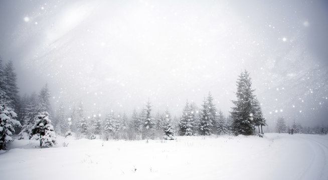 Winter landscape with snowy fir trees