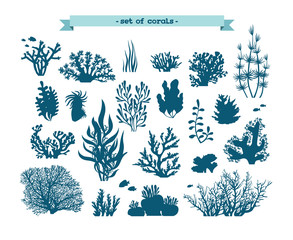 Fototapeta premium Podwodny zestaw koralowców i alg.
