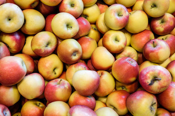 Sweet juicy apples