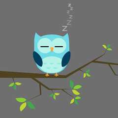 The Sleeping Owl
