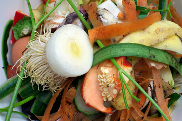 Vegetable scraps in a white plastic bowlbio bio waste