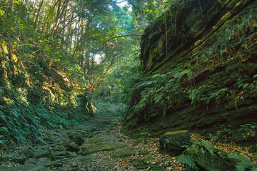 鎌倉市の獅子舞渓谷
