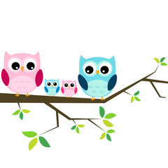 Fototapeta premium Rodzina sów