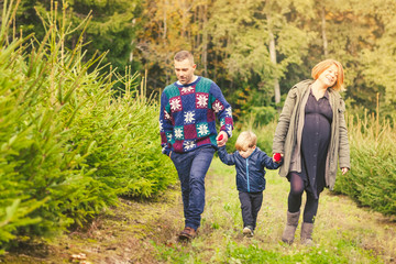 Fototapeta premium Happy Family with Child Choosing the Christmas Tree at the Farm