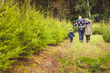 Fototapeta na wymiar Happy Family with Child Choosing the Christmas Tree at the Farm