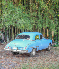 classic car in Cuba