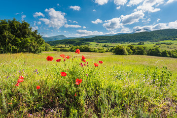 Mountain spring in Italy landscape, Umbria.