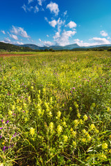 Mountain spring in Italy landscape, Umbria.