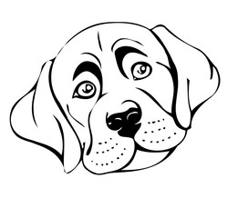sad dog muzzle, vector illustration