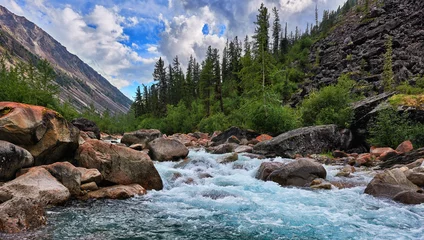 Fototapeten Sauberes Wasser eines Bergflusses © zhaubasar
