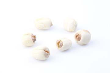 Dry lotus seeds on the white background
