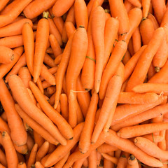 Carrots.  Fresh organic carrots.  Background texture of  carrots