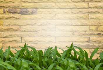 Brick wall background with green grass