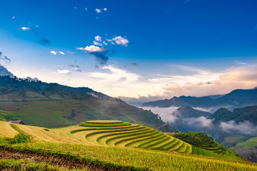 The terraced rice paddy in sunrise. Yen Bai province of Vietnam.
