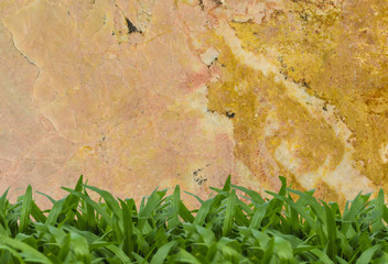 Marble texture with green grass