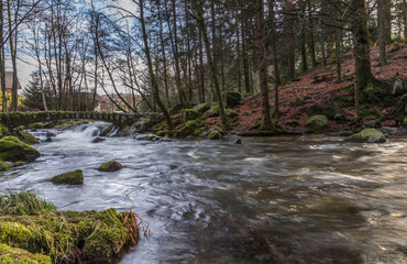 rivière des Vosges