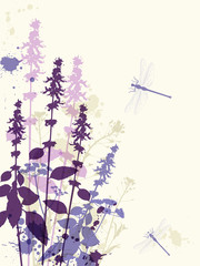Violet flowers and dragonfly