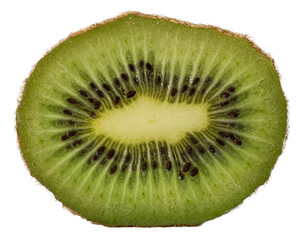 Fototapeta na wymiar slice of kiwi isolated on white background