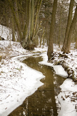 stream in the winter