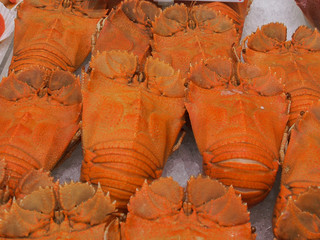 Cooked Moretan Bay Bugs at Seafood Market